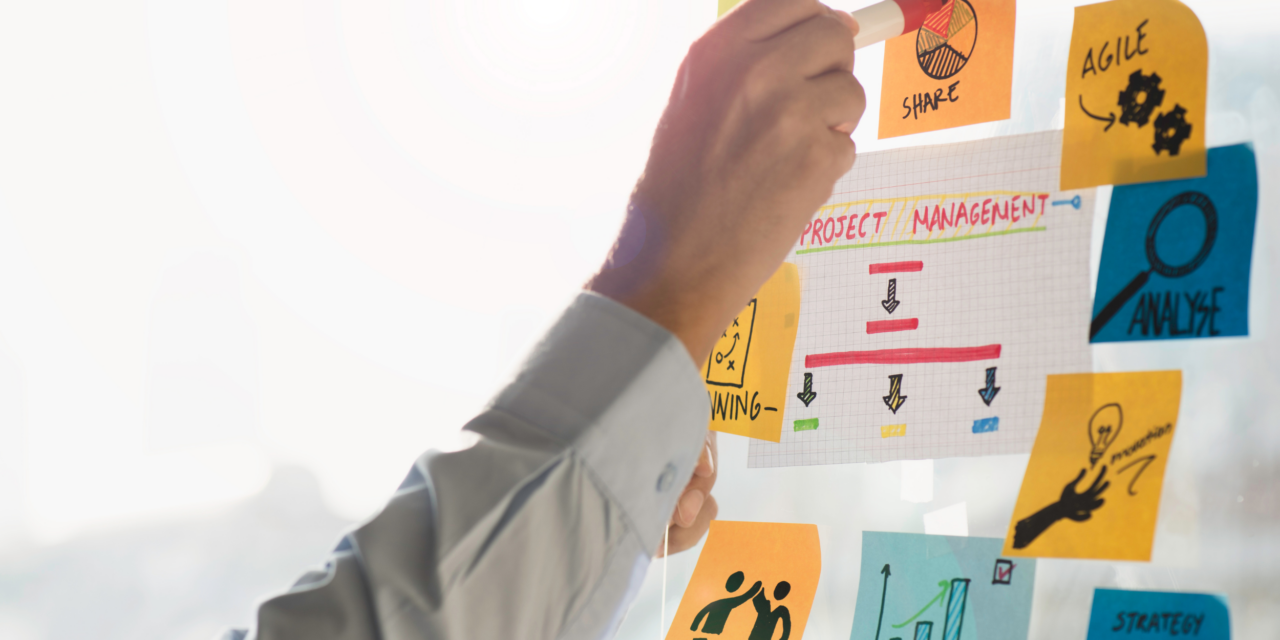 Does the Perfect Sales Organisation even Exist?